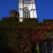 Charles Blanton Photo 51