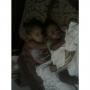 Tiffany Marshall Photo 13