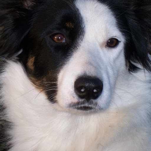 Ruby Barker Photo 5