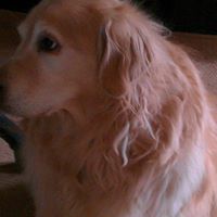 Debra Schell Photo 16