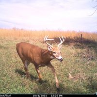 Mark Rhine Photo 9