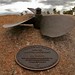 Christopher Pendleton Photo 27