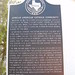 Mary Huhn Photo 13