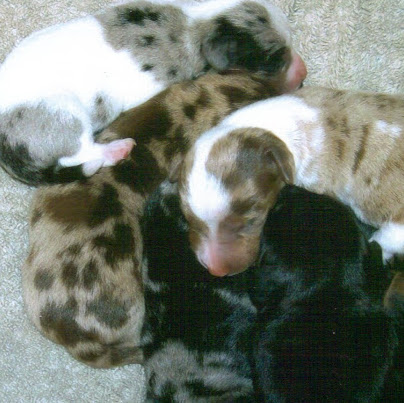 Martha Huebner Photo 3