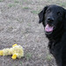 Heather Duckworth Photo 11