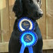 Lucy Wells Photo 20
