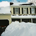 Theresa Wells Photo 13