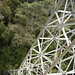 Nancy Merida Photo 8