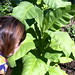 Julia Cornell Photo 14