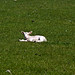 Marianne Seals Photo 8