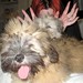 Cassandra Horn Photo 24
