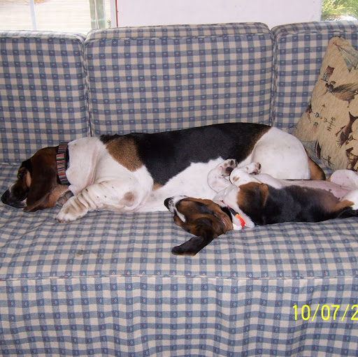 Ann Cox Photo 7