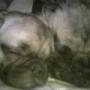 Jane Ebert Photo 5