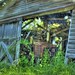 Daryl Moss Photo 10