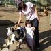 Cassandra Lowry Photo 8