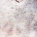 Christina Atkins Photo 36