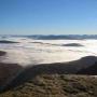 Tom Lee Photo 25
