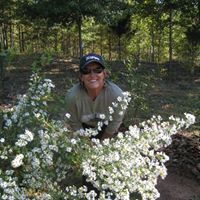 Teresa Buie Photo 1