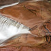 Rodney Lough Photo 3