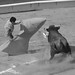 Rafael Cavazos Photo 15