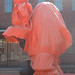 Kelley Mccarthy Photo 9
