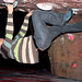 Robin Meehan Photo 13