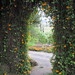 Susan Gates Photo 22