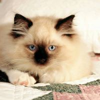 Kimberly Lapointe Photo 9
