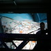Joshua Davies Photo 17