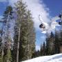 Tim Garrison Photo 12