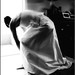 Lionel Hope Photo 9