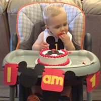 Williams Davis Photo 22