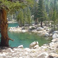 Nancy Culp Photo 20
