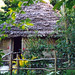 Tanna Deal Photo 3