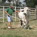 Troy Bull Photo 14