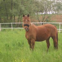 Angelique Bouvier Photo 4