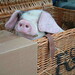 Gerald Box Photo 4