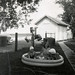 Connie Schulz Photo 5