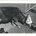 Linda Lodge Photo 12