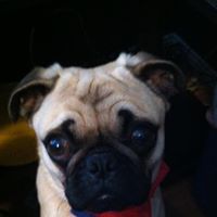Daniel Driggs Photo 8