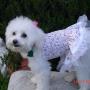 Linda Buck Photo 47