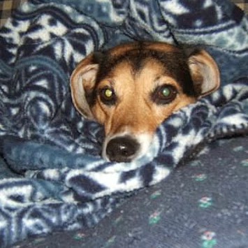 Judy Mcmahon Photo 11