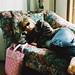 Alison Madison Photo 1