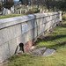 Marian Wheeler Photo 17