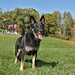 Dwight Hunter Photo 10