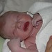 James Buchan Photo 37