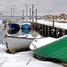 Dennis Fox Photo 51