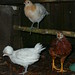 Wendy Eggers Photo 13