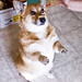 Sheri Alexander Photo 29