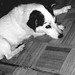 David Greider Photo 9